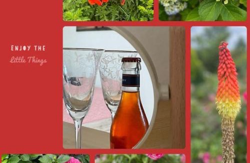 Eystrup Apartment | Ferienwohnung mit WINTERGARTEN in Bahnhofsnähe