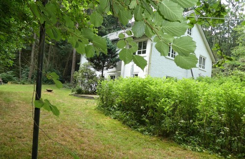 Lutterloh Apartment | Ferienwohnung Niemann in Lutterloh