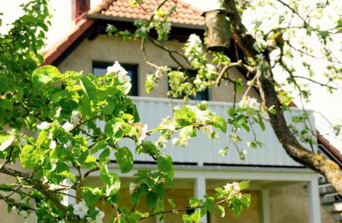 Stolpe Apartment | Ferienwohnung Rohlffs Stolpe auf Usedom
