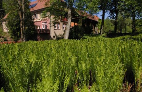 Kaiserslautern Apartment | Ferienwohnungen Reichholdsmühle