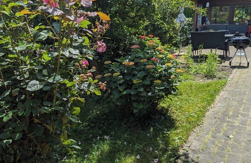 Balge Apartment | Fewo 110 m2 Nähe Weser /Weserradweg, Fahrrad, Schwimmen, Angeln, Dinopark