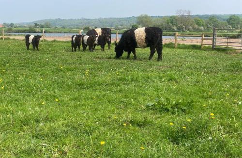 Stoke Bardolph Apartment | Flat 1, Coneygre Farm