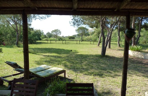 Saint-Laurent-d'Aigouze House | Gardian Aigues Mortes cabin-style house rental