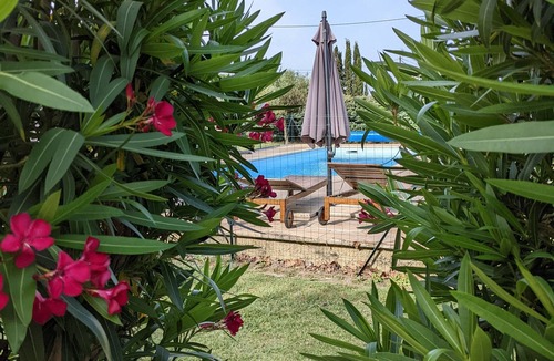Arles Cottage | Gite in farmhouse in the Camargue - Arles (Mas-Thibert) - 4 to 5 people