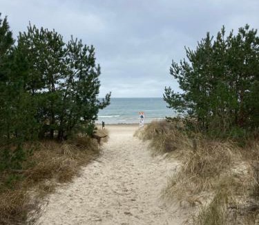 Trassenheide House | Glücklich am Strand - Ruhe im Kiefernwald mit Terrasse & Hund willkommen