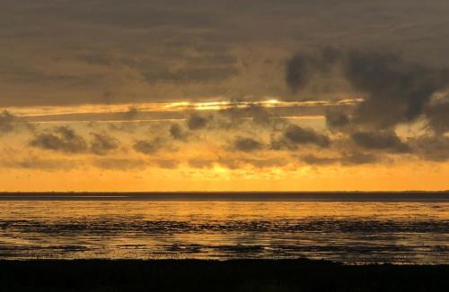 Den Oever Bed & Breakfast | Het Huis van de Wadden