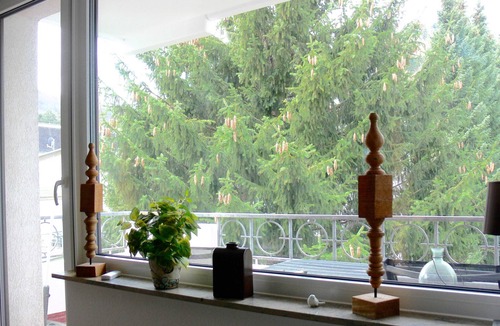 Bad Harzburg Apartment | Hudewusch *