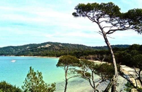 Porquerolles Apartment | Ile de Porquerolles : T3 climatisé vue mer