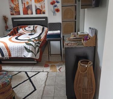 Saint-Maurice-de-Beynost Apartment | Le Cosy chic