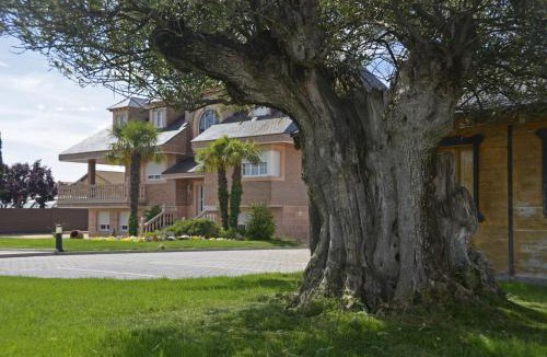 Nava de la Asuncion House | Los Olivos