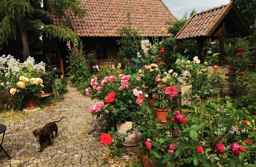 Kernstadt Lehrte House | Lower Saxony warehouse with a cozy country house atmosphere for up to 6 people