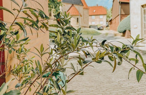 Kaierde Apartment | Modern 1 Bedroom Apartment With Terrace, Ideal for Nature and Biking Lovers