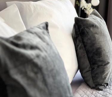 Eutritzsch Apartment | Modernes, mediales Apartment, Nähe der Neuen Leipziger Messe, bis vier Personen