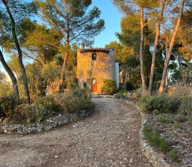 Bouc-Bel-Air Bed & Breakfast | Moulin Rouge Provençal Suite Premium avec jacuzzi extérieur