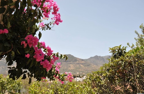 Valsequillo de Gran Canaria House | Nice warm house to relax with wifi