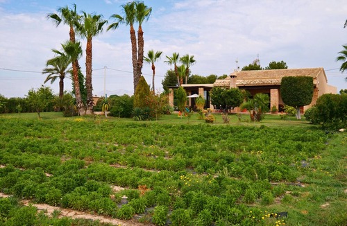 Elche Ski Chalet | Organic farm, with herbs, vegetables ,fruits trees etc and pool