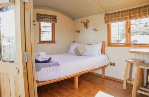 St Harmon House | Poppy