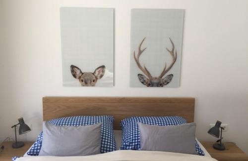 Hinterstoder Apartment | Privatwohnung am Prielerweg in Hinterstoder
