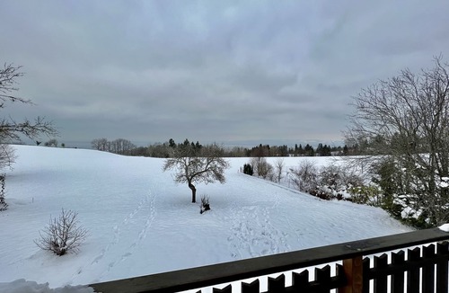 Saint-Paul-en-Chablais Ski Chalet | Savoyard chalet between lake and mountains (10 people) - St Paul en Chablais