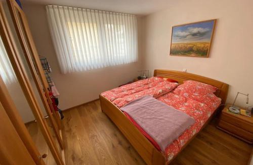 Offenburg Apartment | Schöne 2-Zimmer-Souterrainwohnung mit Terrasse