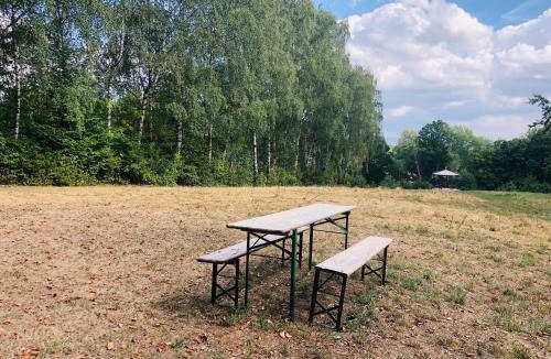 Potzwenden Other | Schwedischer Shelter unter Buchen