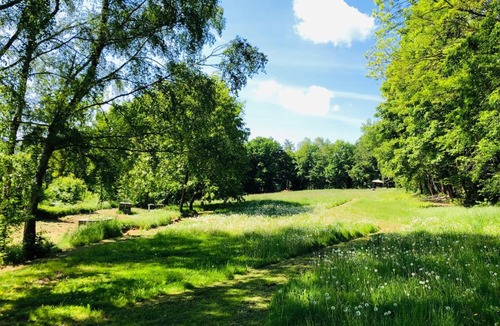 Potzwenden Other | Schwedischer Shelter unter Buchen