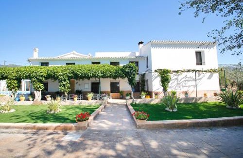 Onil Apartment | Senia Tomaset I