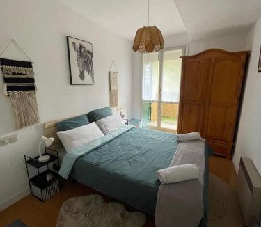 Candanchu Apartment | Snow 37