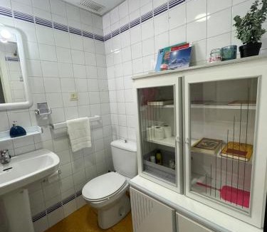 Candanchu Apartment | Snow 37