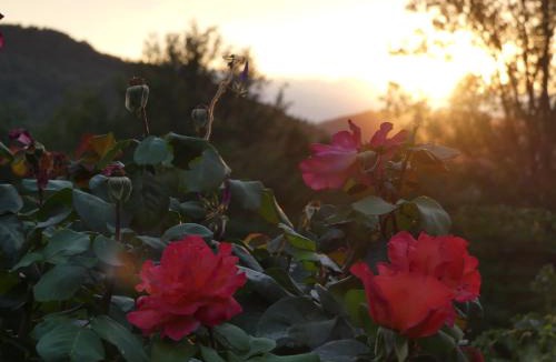 Le Mas-d'Azil Bed & Breakfast | Source Nature