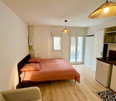 Beaux Arts-Boutonnet Apartment | Studio climatisé, traversant avec verrière