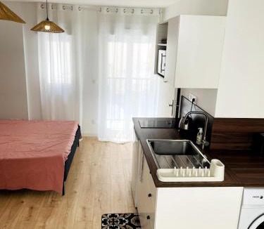 Beaux Arts-Boutonnet Apartment | Studio climatisé, traversant avec verrière