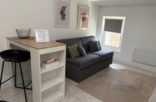 Neuville-sur-Saone Apartment | Studio le cocon aux portes de Lyon
