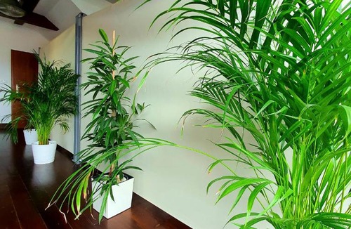 Zabierzow Apartment | Suite Loft