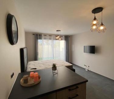 La Roche-sur-Foron Apartment | Superbe studio avec terrasse
