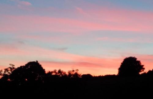 Bedwas Trethomas & Machen Other | The Chicken House
