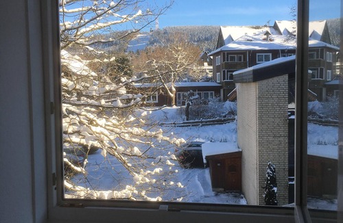 Hahnenklee Apartment | TOP LOCATION, vacation apartment Andresen, directly at the Kranichsee