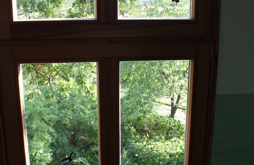 Thielitz House | Tree house in 200-year-old oak - share with all the other tree dwellers KEINEHUNDE