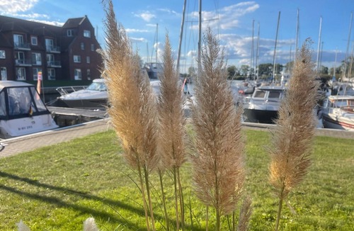 Ueckermuende Apartment | Vacation apartment/apartment for 2 guests with 29m² in Ueckermünde (92384)