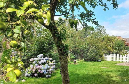 Suderende House | Vacation home for 4 guests with 70m² in Süderende (132127)
