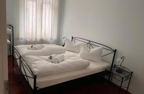 Zentrum-Nord Apartment | Villa 18 Boutique Apartment mit Gartenblick kostenfreies Parken Zoo und Zentrum fußläufig