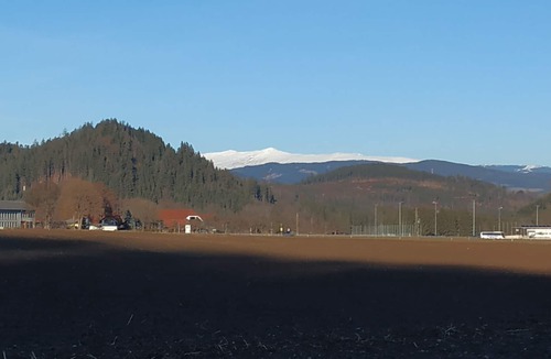 Frauenstein Apartment | Vrbo Property