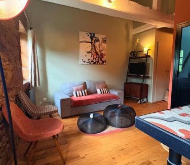 Saint-Cyr-au-Mont-d'Or Apartment | Vue, charme, calme Duplex cosy à 10 min de Lyon