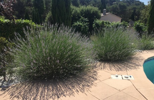 Aurons House | We will welcome you in a typical village in the heart of Provence