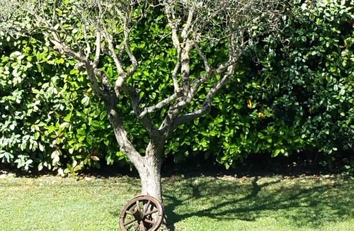 Bouc-Bel-Air Villa | Your holidays in the heart of the Pays de Cézanne, Aix en Provence