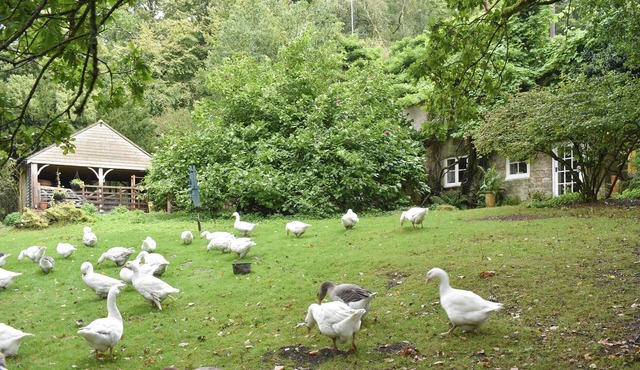 2 bedroom accommodation in Crowborough