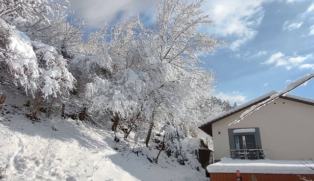Cozy Apartament Near Redbull Ring and Prabichl