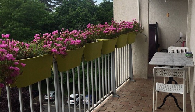 Beautiful sunny apartment with terrace in the center of Merignac