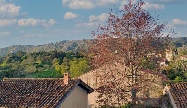Casa del Sur. holiday home with garden in Llanes.