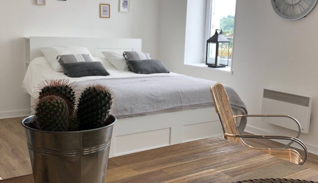 Charming Studio Facing the Port and 100 m from the beach